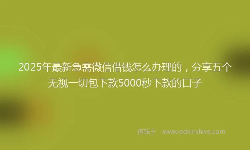 2025年最新急需微信借钱怎么办理的，分享五个无视一切包下款5000秒下款的口子