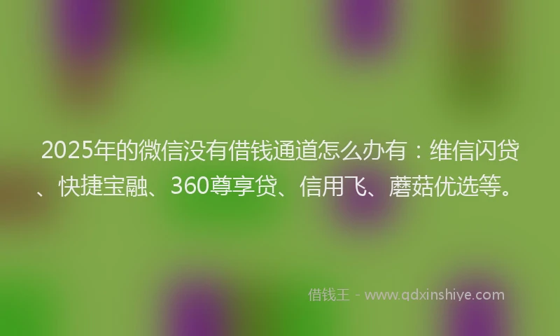 2025年的微信没有借钱通道怎么办有：维信闪贷、快捷宝融、360尊享贷、信用飞、蘑菇优选等。