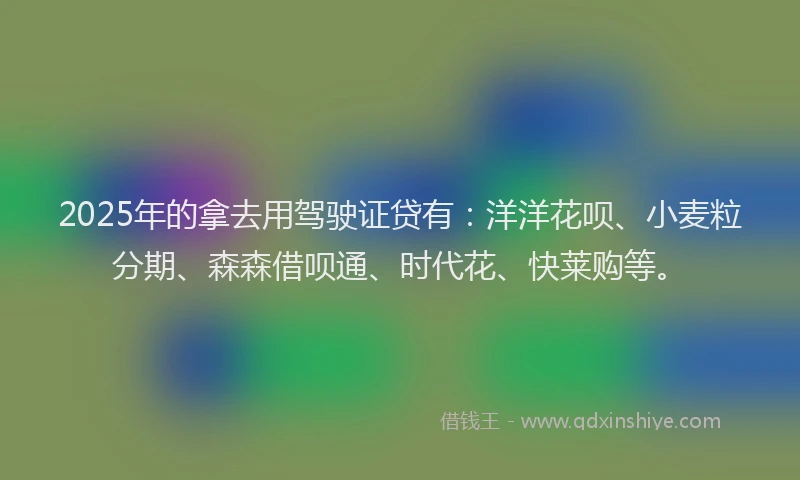 2025年的拿去用驾驶证贷有：洋洋花呗、小麦粒分期、森森借呗通、时代花、快莱购等。