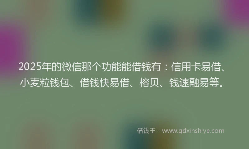 2025年的微信那个功能能借钱有：信用卡易借、小麦粒钱包、借钱快易借、榕贝、钱速融易等。