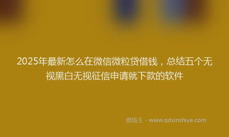 2025年最新怎么在微信微粒贷借钱，总结五个无视黑白无视征信申请就下款的软件