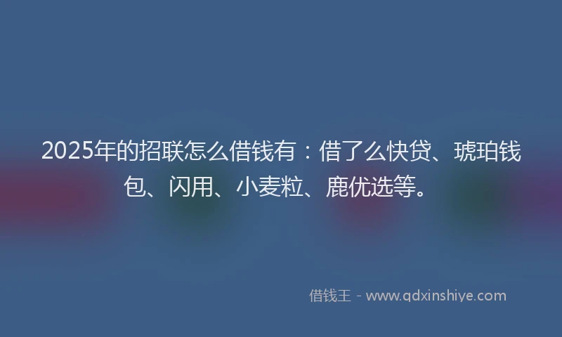 2025年的招联怎么借钱有：借了么快贷、琥珀钱包、闪用、小麦粒、鹿优选等。