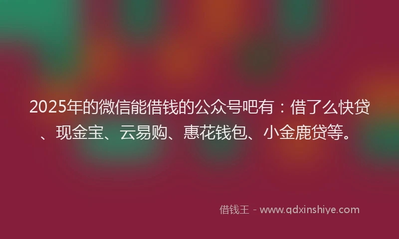 2025年的微信能借钱的公众号吧有：借了么快贷、现金宝、云易购、惠花钱包、小金鹿贷等。