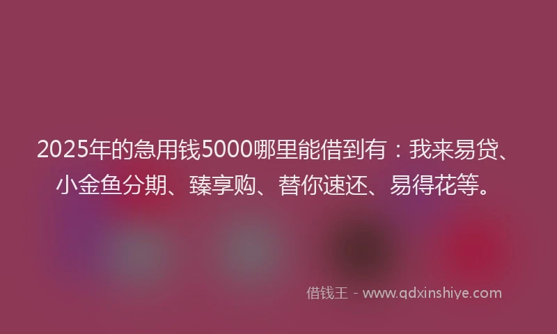 2025年的急用钱5000哪里能借到有：我来易贷、小金鱼分期、臻享购、替你速还、易得花等。