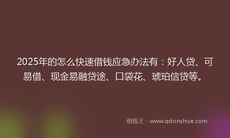 2025年的怎么快速借钱应急办法有：好人贷、可易借、现金易融贷途、口袋花、琥珀信贷等。