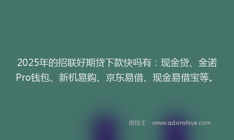2025年的招联好期贷下款快吗有：现金贷、金诺Pro钱包、新机易购、京东易借、现金易借宝等。