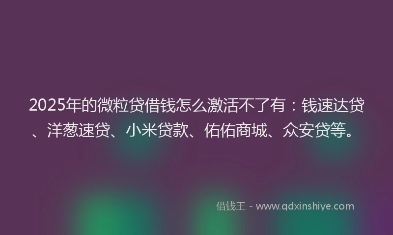 2025年的微粒贷借钱怎么激活不了有：钱速达贷、洋葱速贷、小米贷款、佑佑商城、众安贷等。
