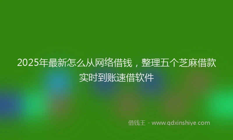 2025年最新怎么从网络借钱，整理五个芝麻借款实时到账速借软件
