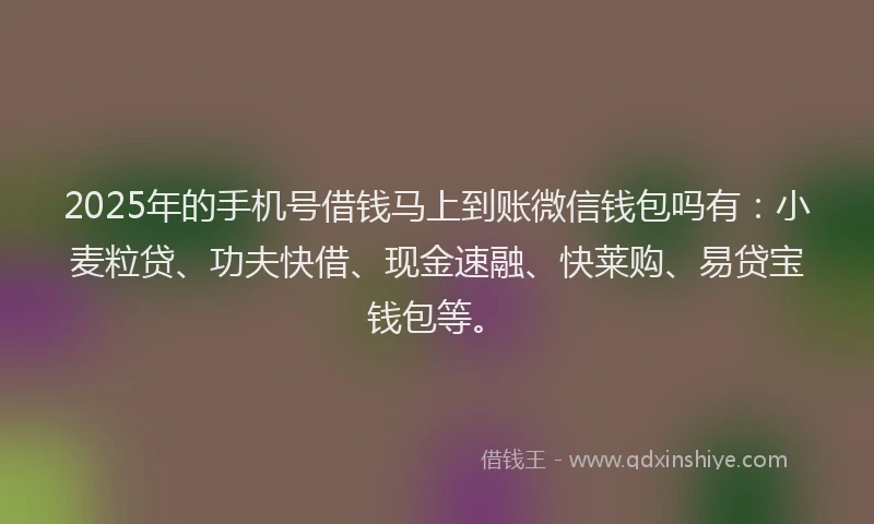 2025年的手机号借钱马上到账微信钱包吗有：小麦粒贷、功夫快借、现金速融、快莱购、易贷宝钱包等。