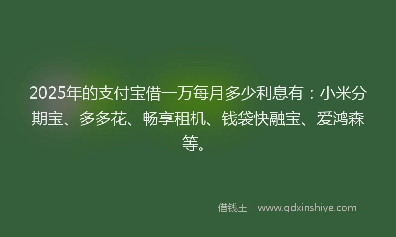 2025年的支付宝借一万每月多少利息有：小米分期宝、多多花、畅享租机、钱袋快融宝、爱鸿森等。