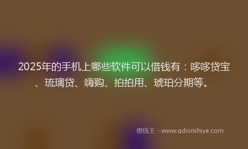 2025年的手机上哪些软件可以借钱有：哆哆贷宝、琉璃贷、嗨购、拍拍用、琥珀分期等。