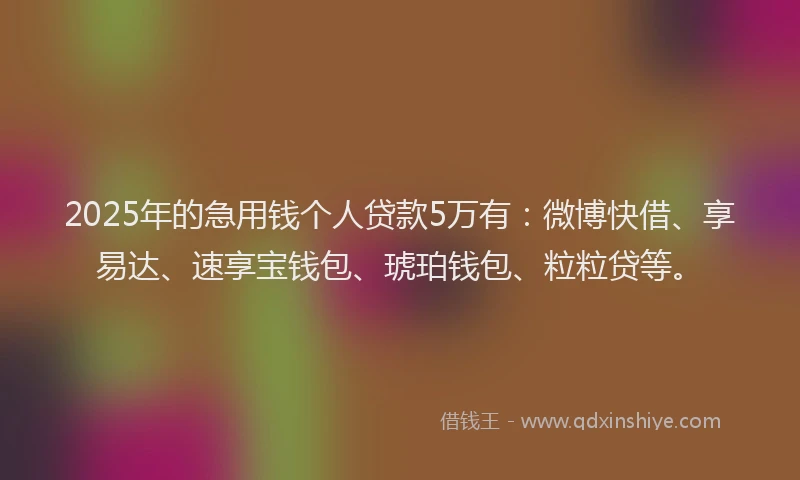 2025年的急用钱个人贷款5万有：微博快借、享易达、速享宝钱包、琥珀钱包、粒粒贷等。