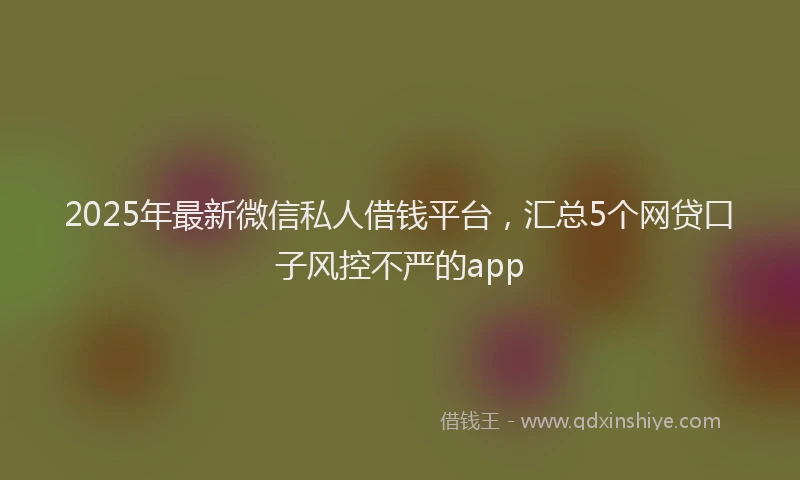 2025年最新微信私人借钱平台，汇总5个网贷口子风控不严的app