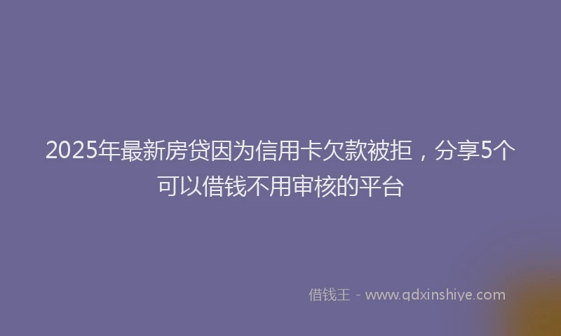 2025年最新房贷因为信用卡欠款被拒，分享5个可以借钱不用审核的平台