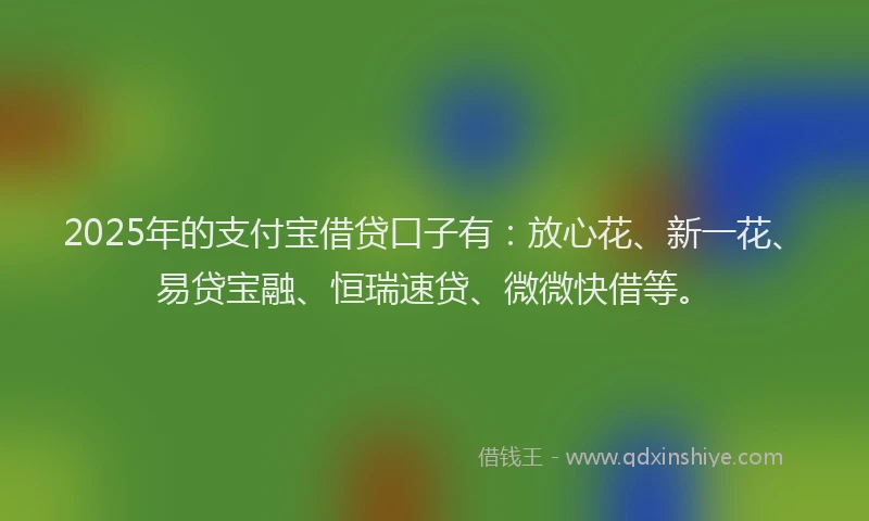 2025年的支付宝借贷口子有：放心花、新一花、易贷宝融、恒瑞速贷、微微快借等。