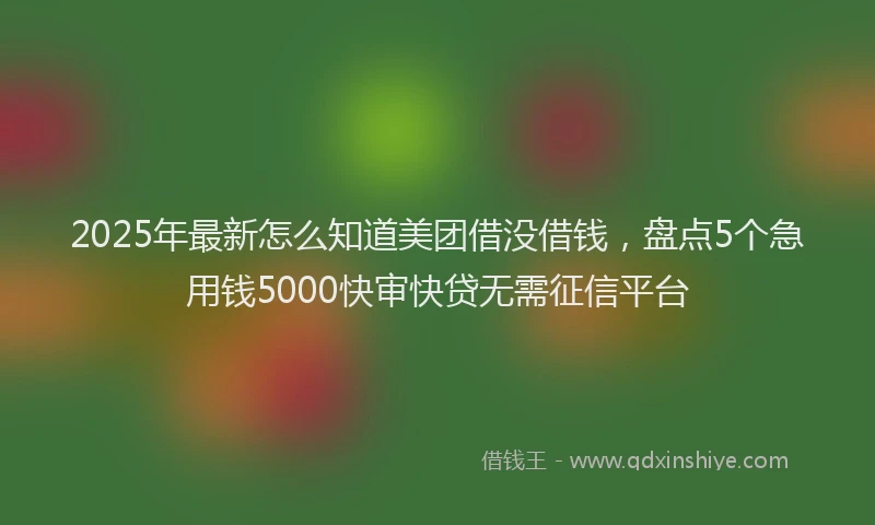 2025年最新怎么知道美团借没借钱，盘点5个急用钱5000快审快贷无需征信平台