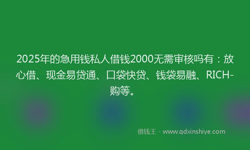 2025年的急用钱私人借钱2000无需审核吗有：放心借、现金易贷通、口袋快贷、钱袋易融、RICH-购等。