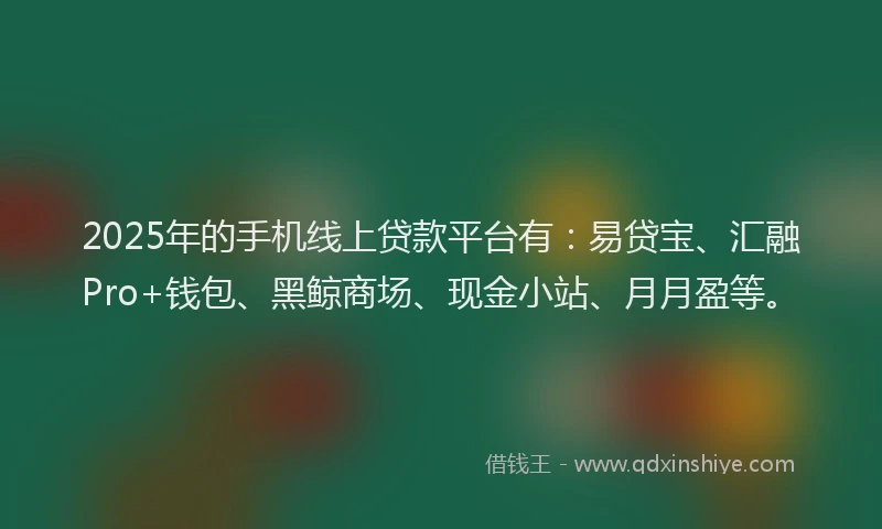 2025年的手机线上贷款平台有：易贷宝、汇融Pro+钱包、黑鲸商场、现金小站、月月盈等。
