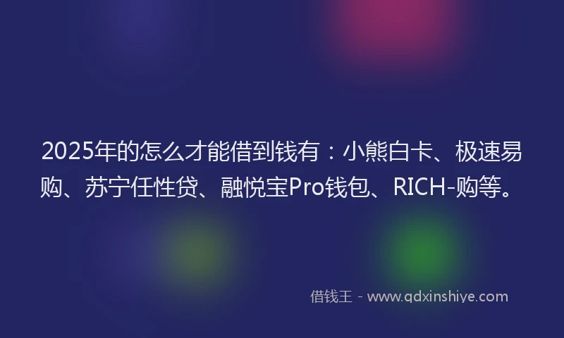 2025年的怎么才能借到钱有：小熊白卡、极速易购、苏宁任性贷、融悦宝Pro钱包、RICH-购等。