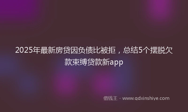 2025年最新房贷因负债比被拒，总结5个摆脱欠款束缚贷款新app