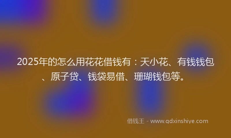 2025年的怎么用花花借钱有：天小花、有钱钱包、原子贷、钱袋易借、珊瑚钱包等。