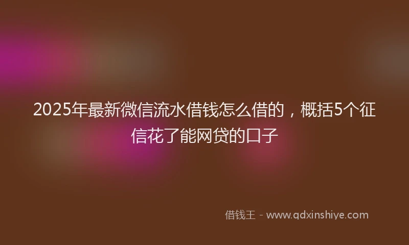 2025年最新微信流水借钱怎么借的，概括5个征信花了能网贷的口子