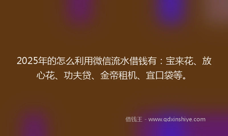 2025年的怎么利用微信流水借钱有：宝来花、放心花、功夫贷、金帝租机、宜口袋等。