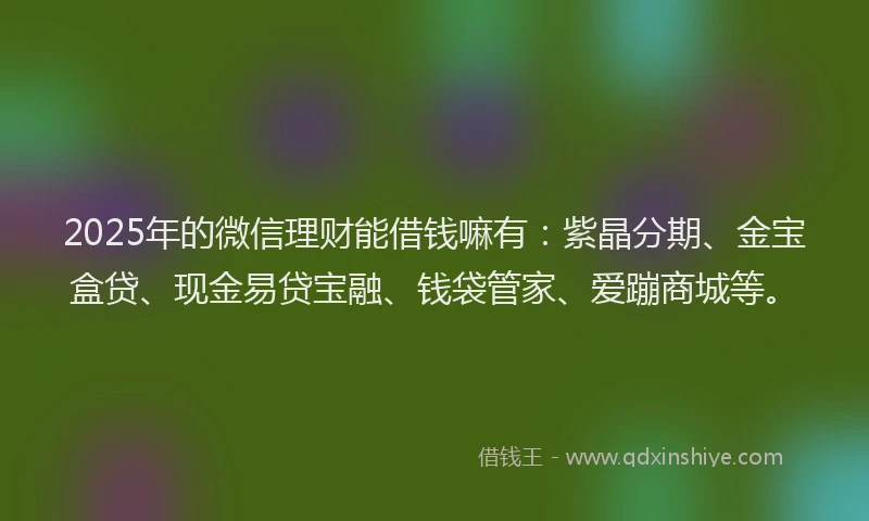 2025年的微信理财能借钱嘛有：紫晶分期、金宝盒贷、现金易贷宝融、钱袋管家、爱蹦商城等。