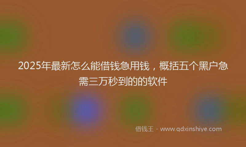 2025年最新怎么能借钱急用钱，概括五个黑户急需三万秒到的的软件