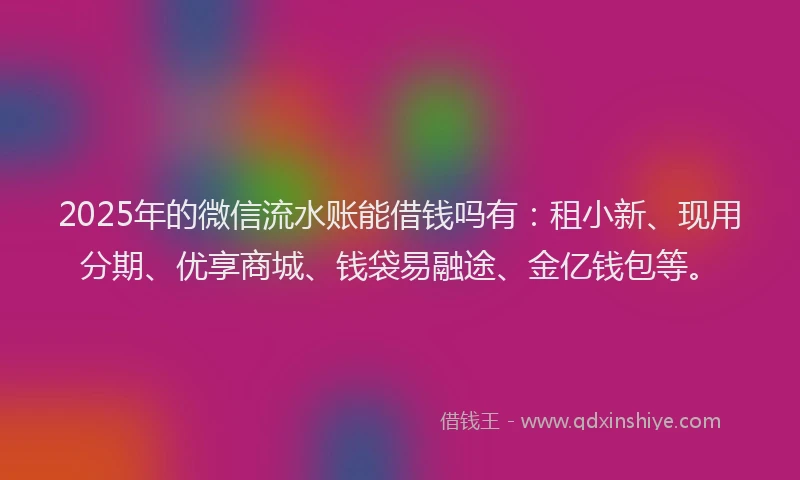 2025年的微信流水账能借钱吗有：租小新、现用分期、优享商城、钱袋易融途、金亿钱包等。