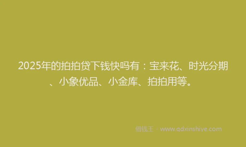 2025年的拍拍贷下钱快吗有：宝来花、时光分期、小象优品、小金库、拍拍用等。