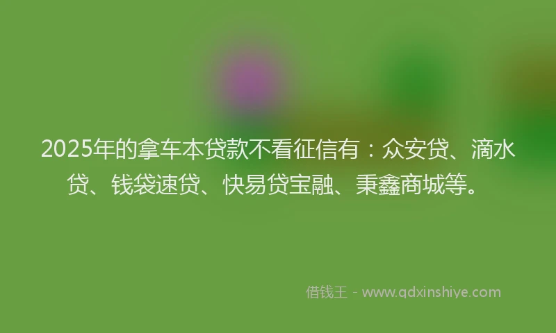 2025年的拿车本贷款不看征信有：众安贷、滴水贷、钱袋速贷、快易贷宝融、秉鑫商城等。