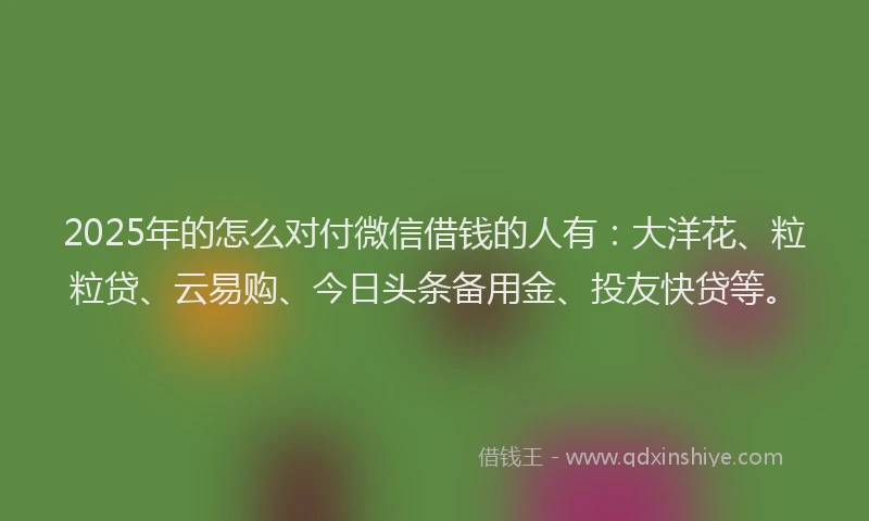 2025年的怎么对付微信借钱的人有：大洋花、粒粒贷、云易购、今日头条备用金、投友快贷等。