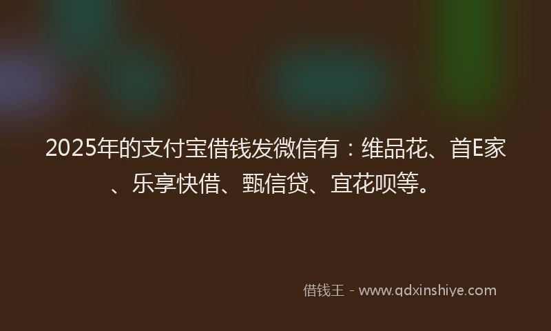 2025年的支付宝借钱发微信有：维品花、首E家、乐享快借、甄信贷、宜花呗等。