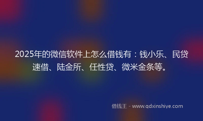 2025年的微信软件上怎么借钱有：钱小乐、民贷速借、陆金所、任性贷、微米金条等。