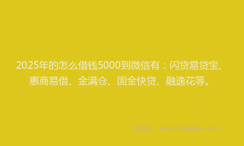 2025年的怎么借钱5000到微信有：闪贷易贷宝、惠商易借、金满仓、固金快贷、融逸花等。