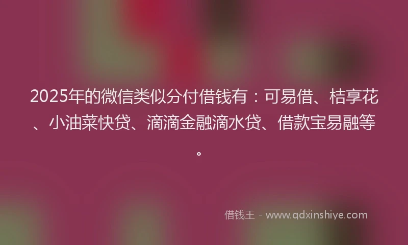 2025年的微信类似分付借钱有：可易借、桔享花、小油菜快贷、滴滴金融滴水贷、借款宝易融等。