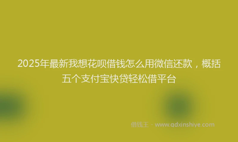 2025年最新我想花呗借钱怎么用微信还款，概括五个支付宝快贷轻松借平台