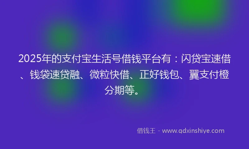 2025年的支付宝生活号借钱平台有：闪贷宝速借、钱袋速贷融、微粒快借、正好钱包、翼支付橙分期等。