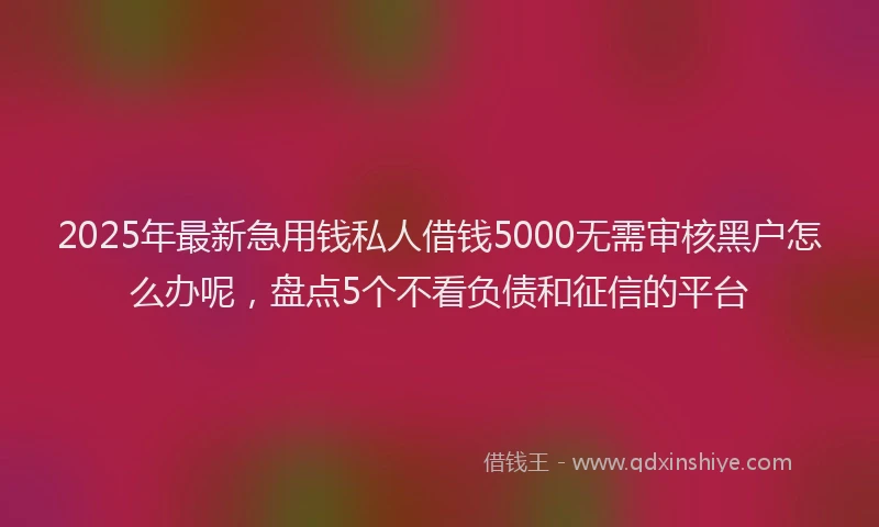 2025年最新急用钱私人借钱5000无需审核黑户怎么办呢，盘点5个不看负债和征信的平台