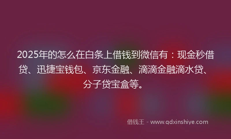 2025年的怎么在白条上借钱到微信有：现金秒借贷、迅捷宝钱包、京东金融、滴滴金融滴水贷、分子贷宝盒等。