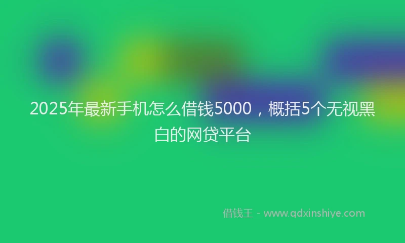 2025年最新手机怎么借钱5000，概括5个无视黑白的网贷平台