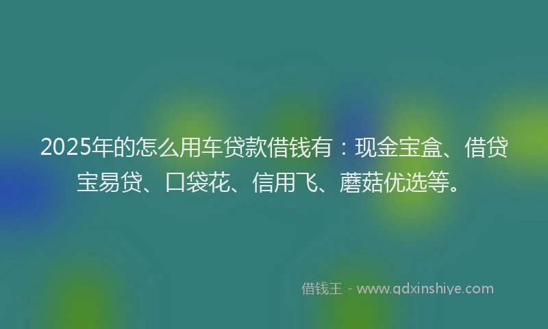 2025年的怎么用车贷款借钱有：现金宝盒、借贷宝易贷、口袋花、信用飞、蘑菇优选等。