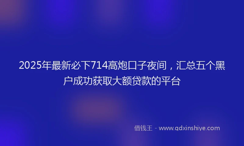 2025年最新必下714高炮口子夜间，汇总五个黑户成功获取大额贷款的平台