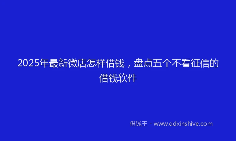 2025年最新微店怎样借钱，盘点五个不看征信的借钱软件