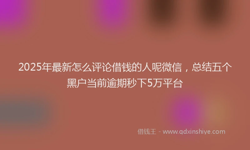 2025年最新怎么评论借钱的人呢微信，总结五个黑户当前逾期秒下5万平台