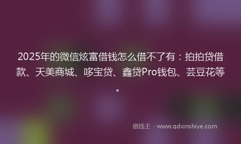 2025年的微信炫富借钱怎么借不了有：拍拍贷借款、天美商城、哆宝贷、鑫贷Pro钱包、芸豆花等。