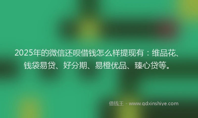 2025年的微信还呗借钱怎么样提现有：维品花、钱袋易贷、好分期、易橙优品、臻心贷等。