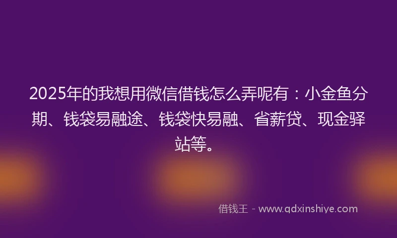 2025年的我想用微信借钱怎么弄呢有：小金鱼分期、钱袋易融途、钱袋快易融、省薪贷、现金驿站等。