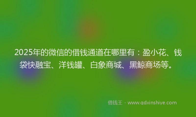2025年的微信的借钱通道在哪里有：盈小花、钱袋快融宝、洋钱罐、白象商城、黑鲸商场等。